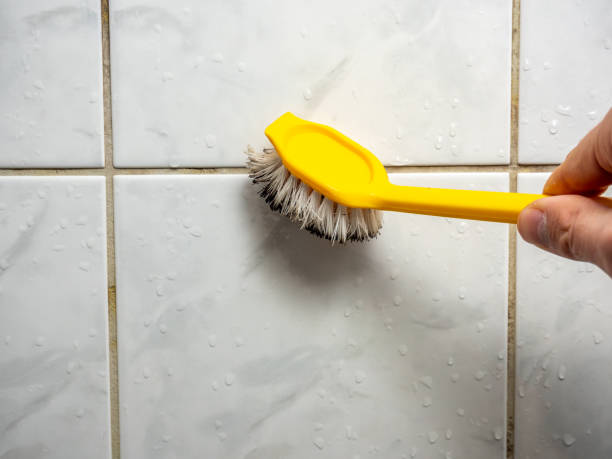 Mold Removal Process in Fremont, NE