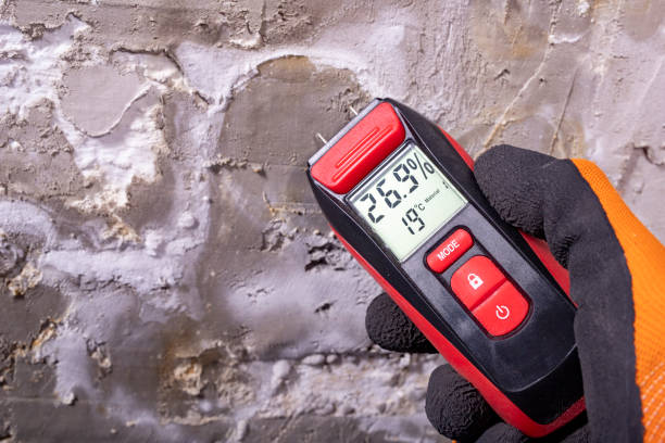 Best Mold Remediation Services  in Fremont, NE