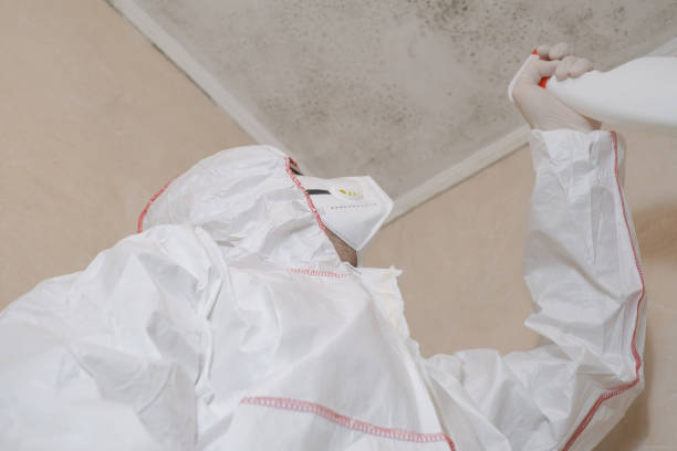 Mold Removal and Inspection in Fremont, NE